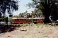 Tram in Kings Park