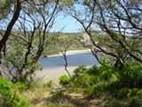 DSC02463.JPG